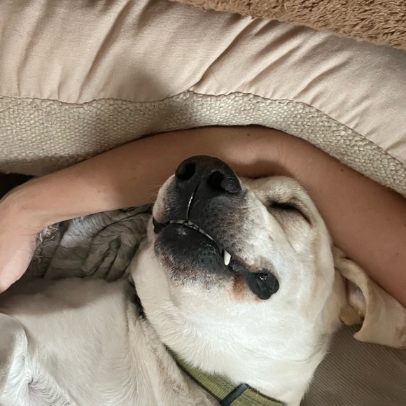 Meet your Posher, Caron - Picture 6 of 16